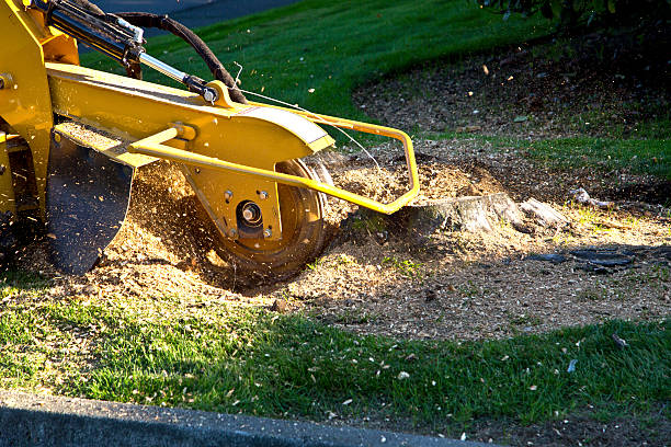 Artificial Turf Installation in Pocono Woodland Lakes, PA